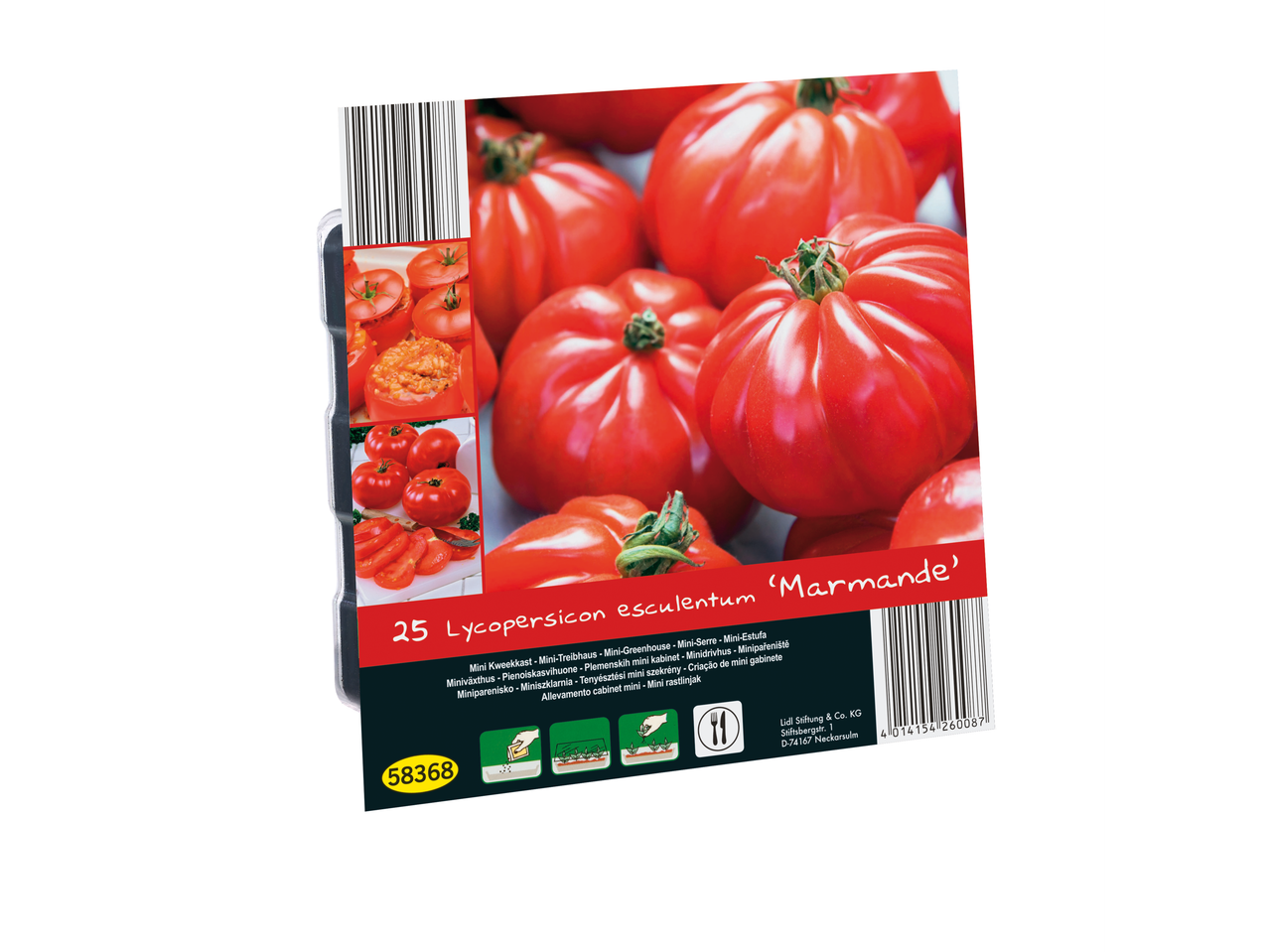 Mini Greenhouse with Lycopersicon esculentum 'Marmande' tomato seeds.