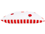 Livarno Water-Resistant Outdoor Cushion with strawberry pattern and red and white stripes.