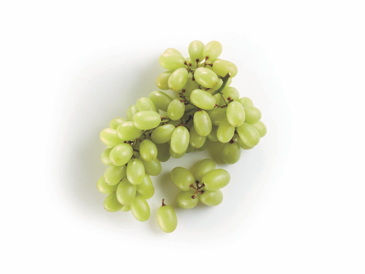 Seedless Grapes