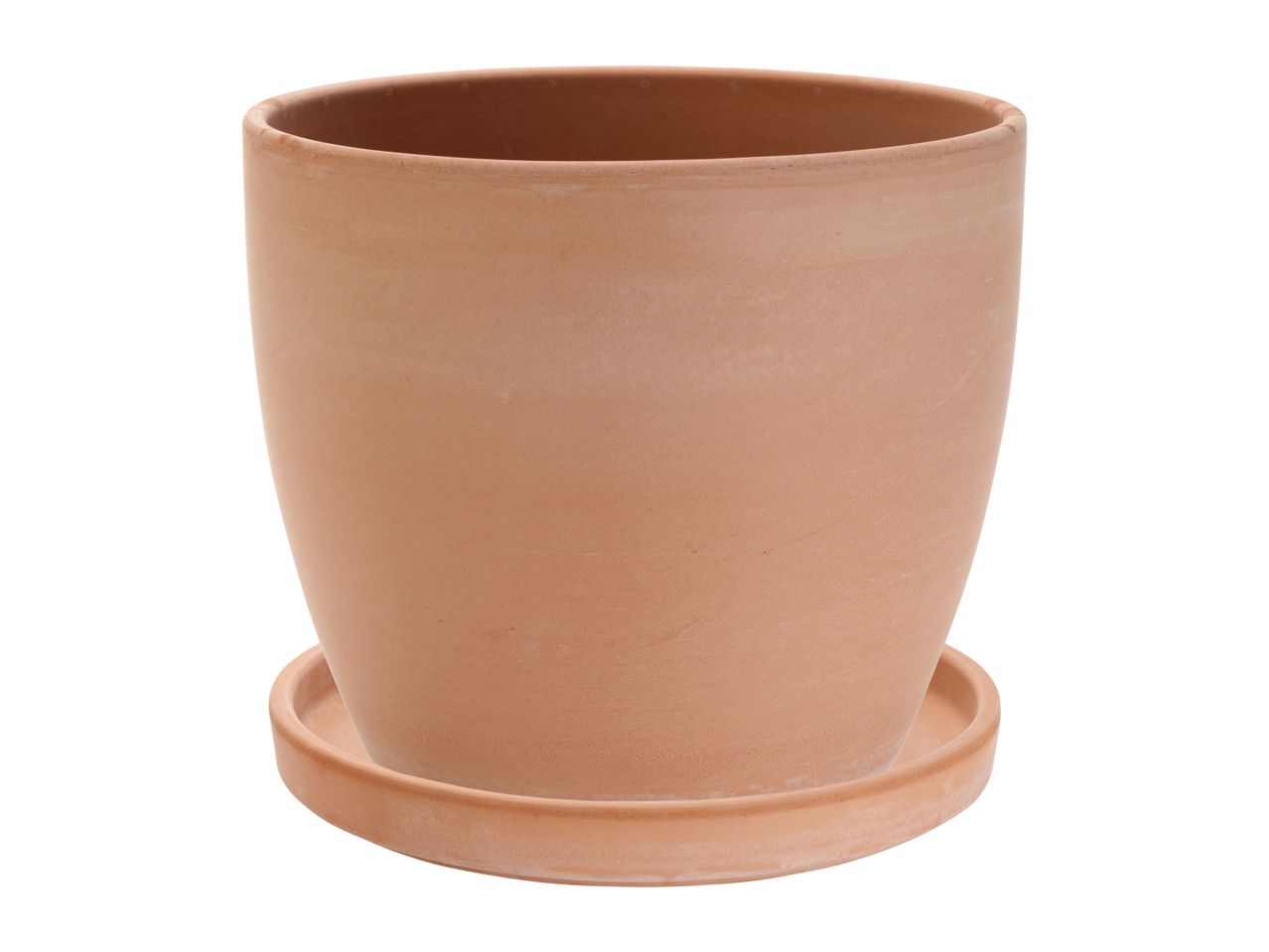 Terracotta plant pot with a matching saucer
