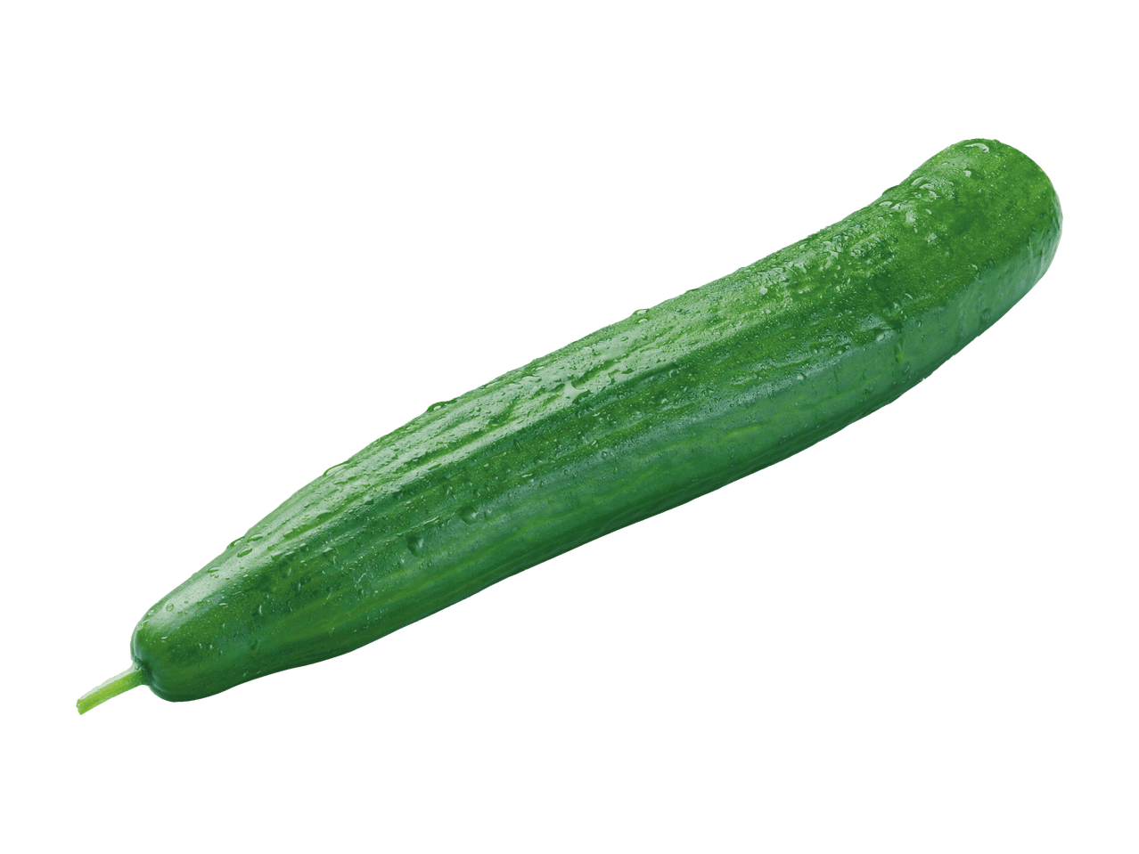 Eine einzelne, mit Wassertropfen bedeckte Gurke vor schwarzem Hintergrund.