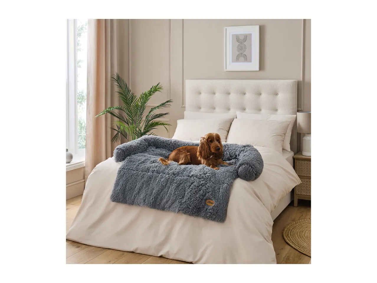 A cocker spaniel dog lies on a grey fluffy dog bed on a bed with beige bedding in a bedroom.