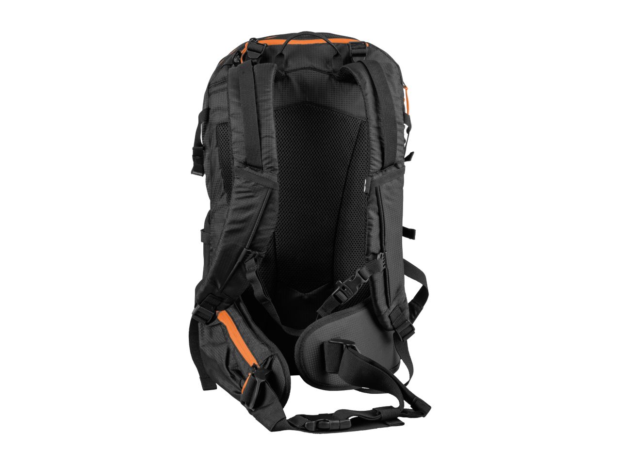 A black backpack with orange accents, shown from the back.