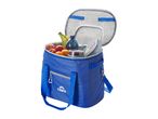 Blue cooler bag filled with apples, oranges, bananas, water bottle, and food containers.