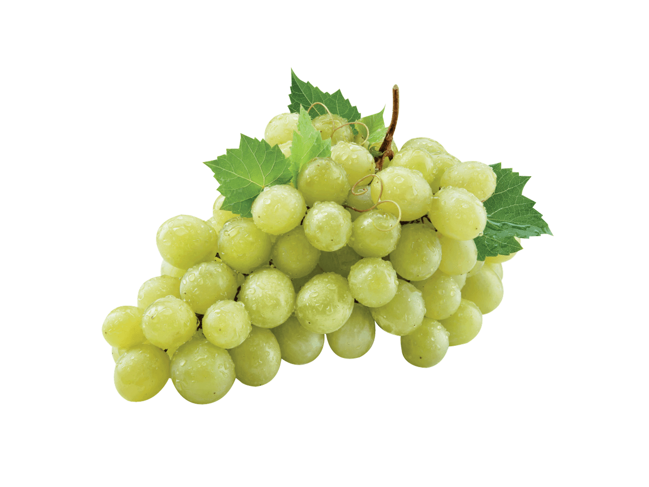 Sultingų žalių vynuogių kekė.