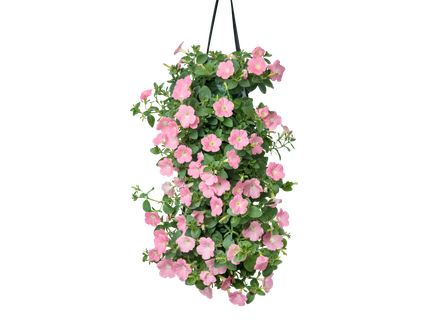Wandhanger met bloemen