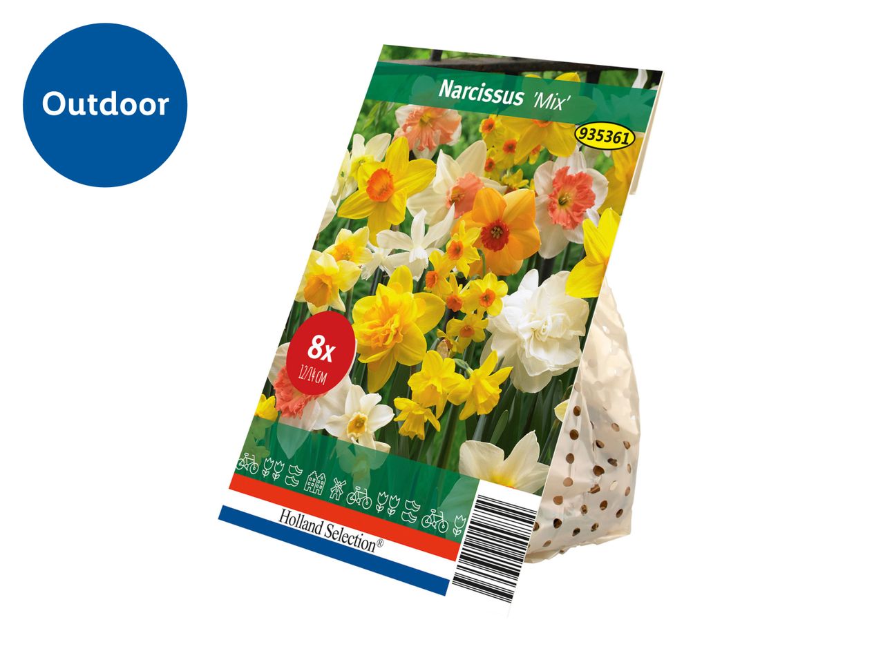 Narcissus 'Mix' flower bulbs in packaging, labeled 'Outdoor'.