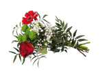 Gerberas vermelhas, rosa e crisântemos num ramo fresco.