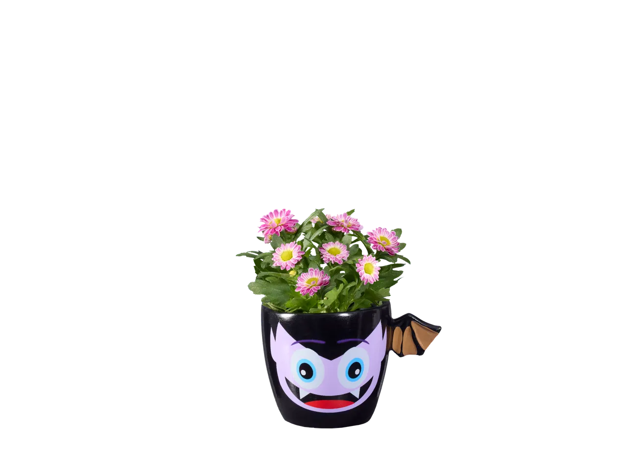 Ghiveci de flori cu tematică de Halloween, cu flori roz și albe