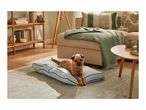A terrier dog rests on a light blue pet bed in a living room with a beige sofa and wooden furniture.