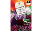 Sweet William Double Mix flower seed tape, 4 pieces, for colorful summer bouquets.