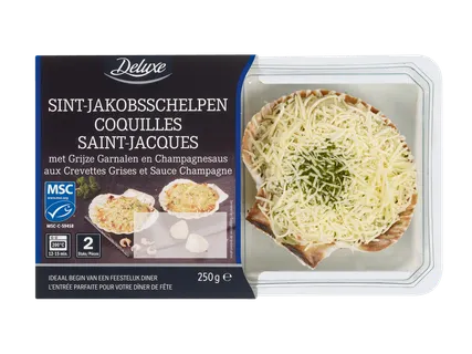 DELUXE Sint-Jakobsschelpen