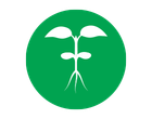 Symbole avec plante