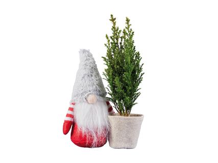 Örökzöldek manós kaspóban*