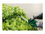 Person trimming a green hedge with a cordless hedge trimmer.