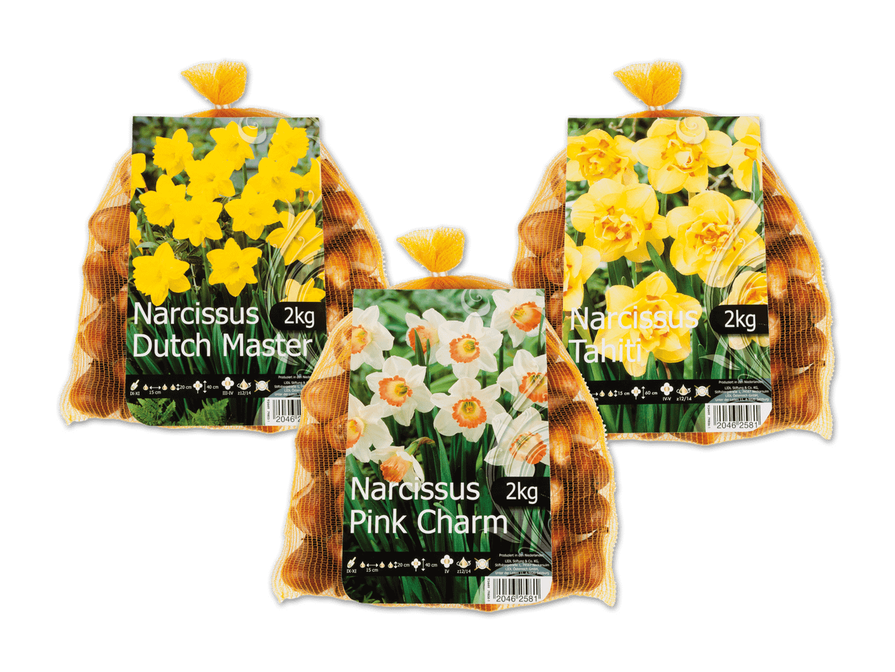 Drei Beutel mit Narzissenzwiebeln der Sorten 'Dutch Master', 'Pink Charm' und 'Tahiti'.