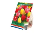 A package of eight Darwin Hybrid Mix tulip bulbs.