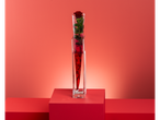 Single red rose in a clear vase on red display blocks against a red background.
