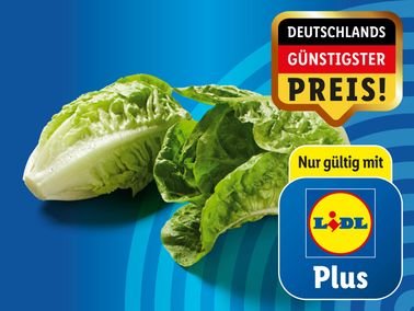 Deutscher Mini Romana Salat