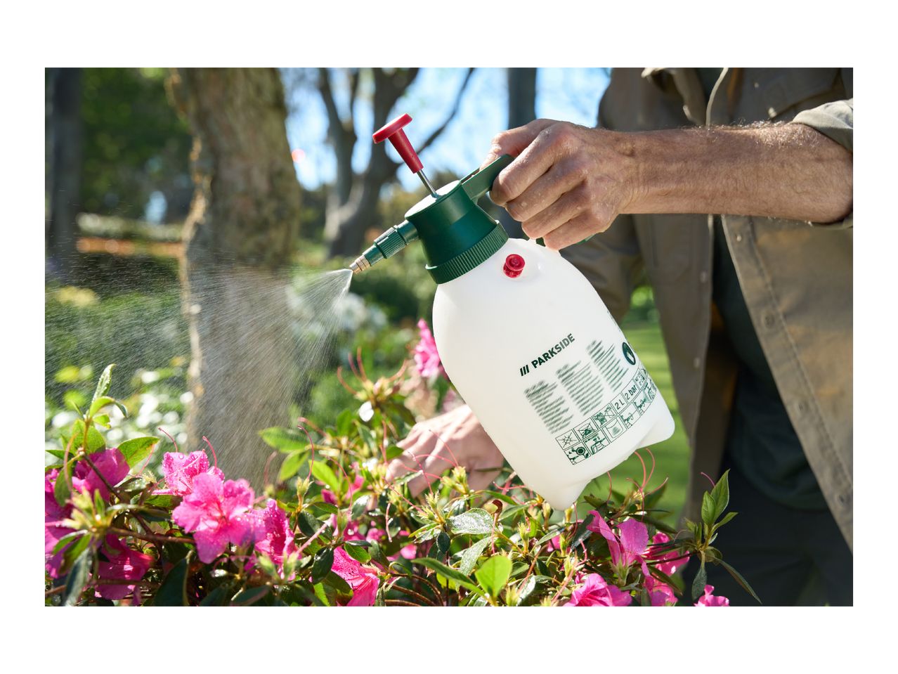 A person spraying water on pink flowers with a garden sprayer.