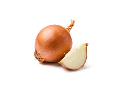 Български лук