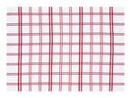 White and red checkered kitchen towel with a classic plaid pattern.
