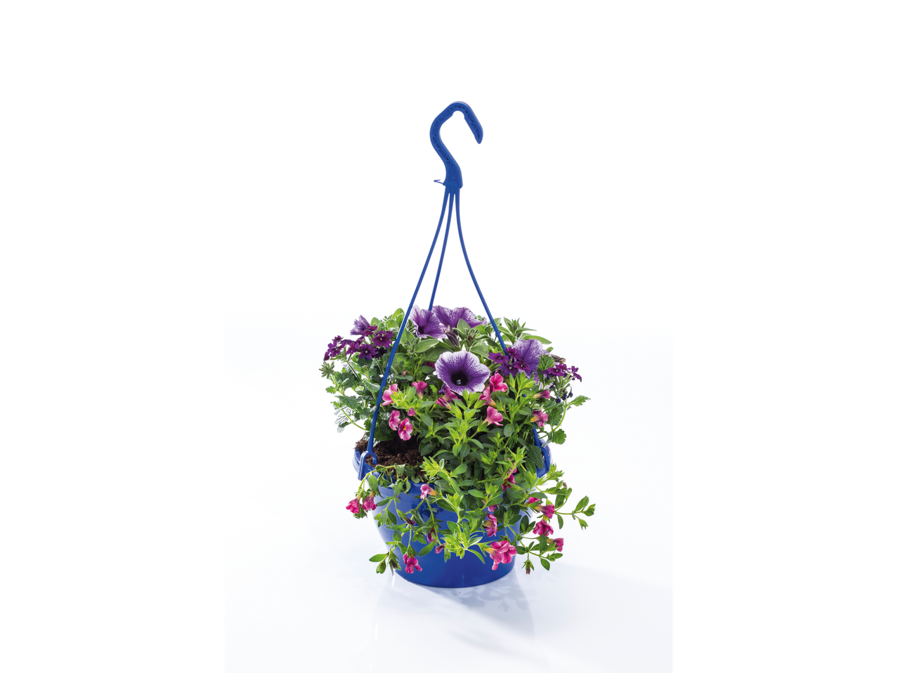 Hangende pot met petunia's en verbena.