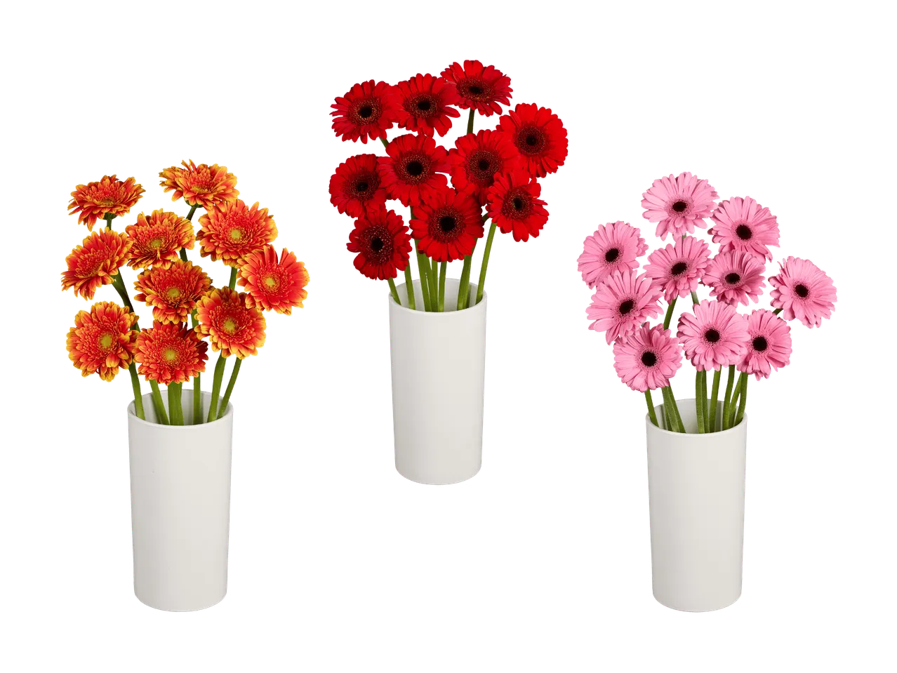 Trois bouquets de gerberas, orange, rouges et roses, dans des vases blancs.