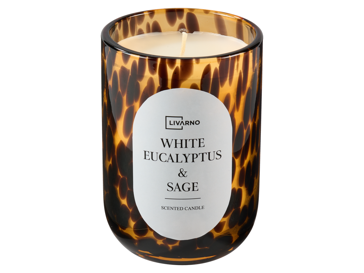 LIVARNO lõhnaküünal klaasis kilpkonna mustriga, White Eucalyptus & Sage