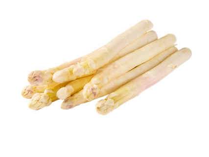 Asperge AA-extra wit