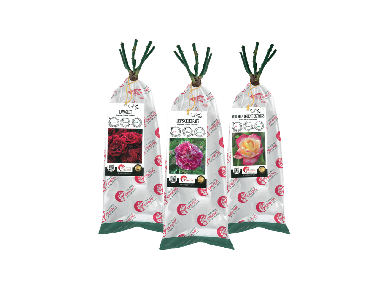 Tri pakovanja ruža sa etiketama za sorte Lavaglut, Let's Celebrate i Pullman Orient Express.