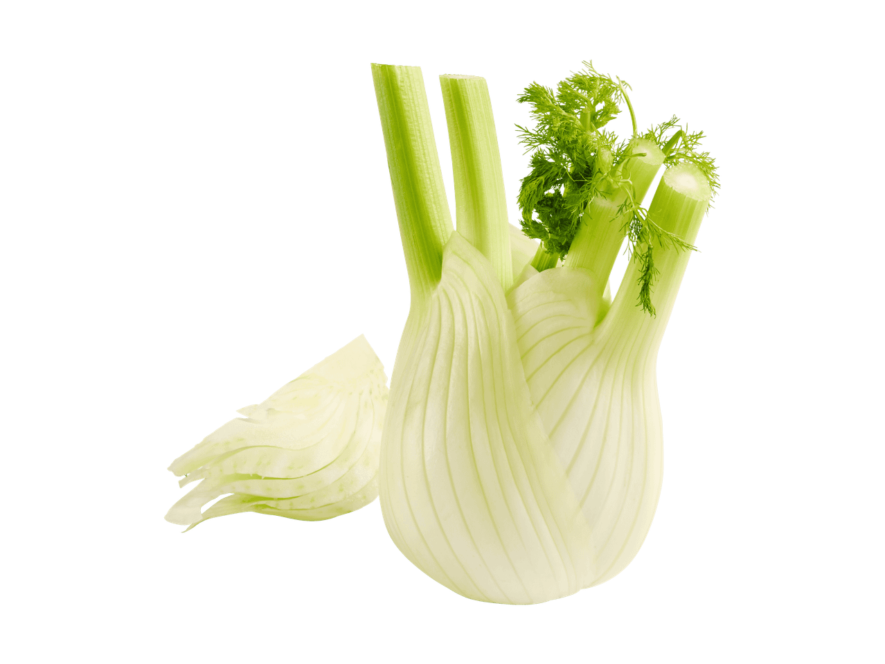 Frischer Fenchel mit einer abgeschnittenen Spalte auf schwarzem Hintergrund.