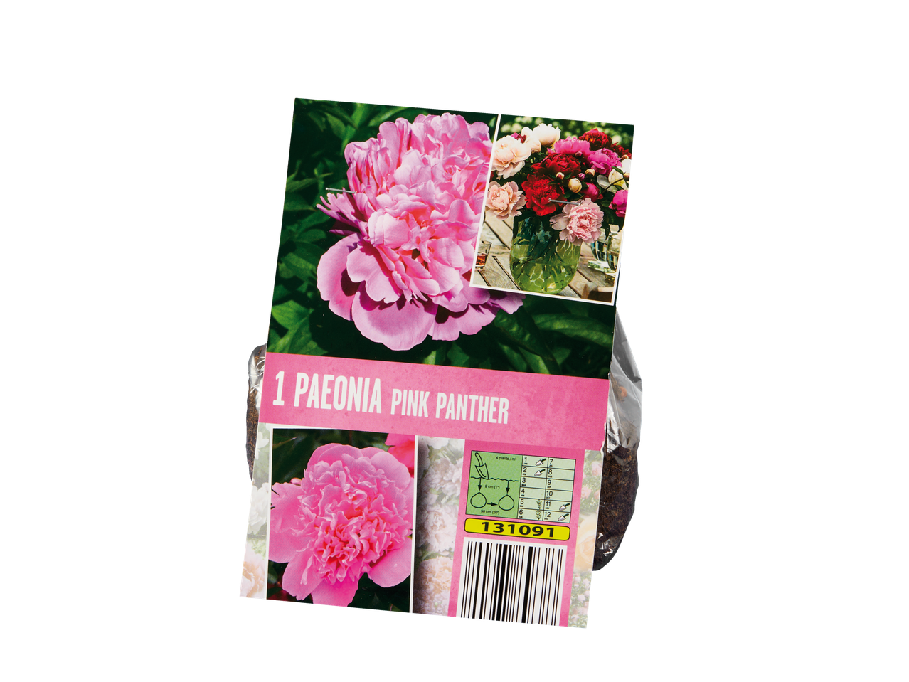 A package of Paeonia Pink Panther flower bulbs with planting instructions and a barcode.