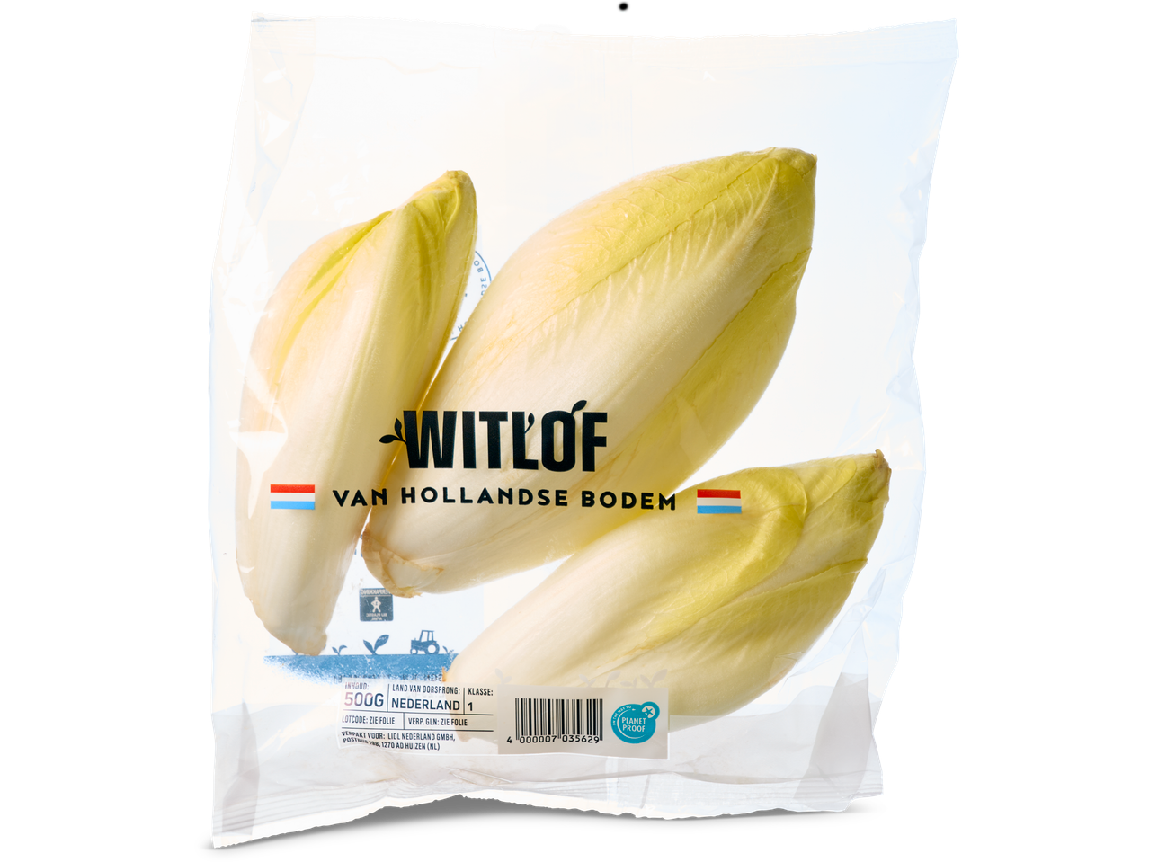 Een zak Witlof van Hollandse Bodem.