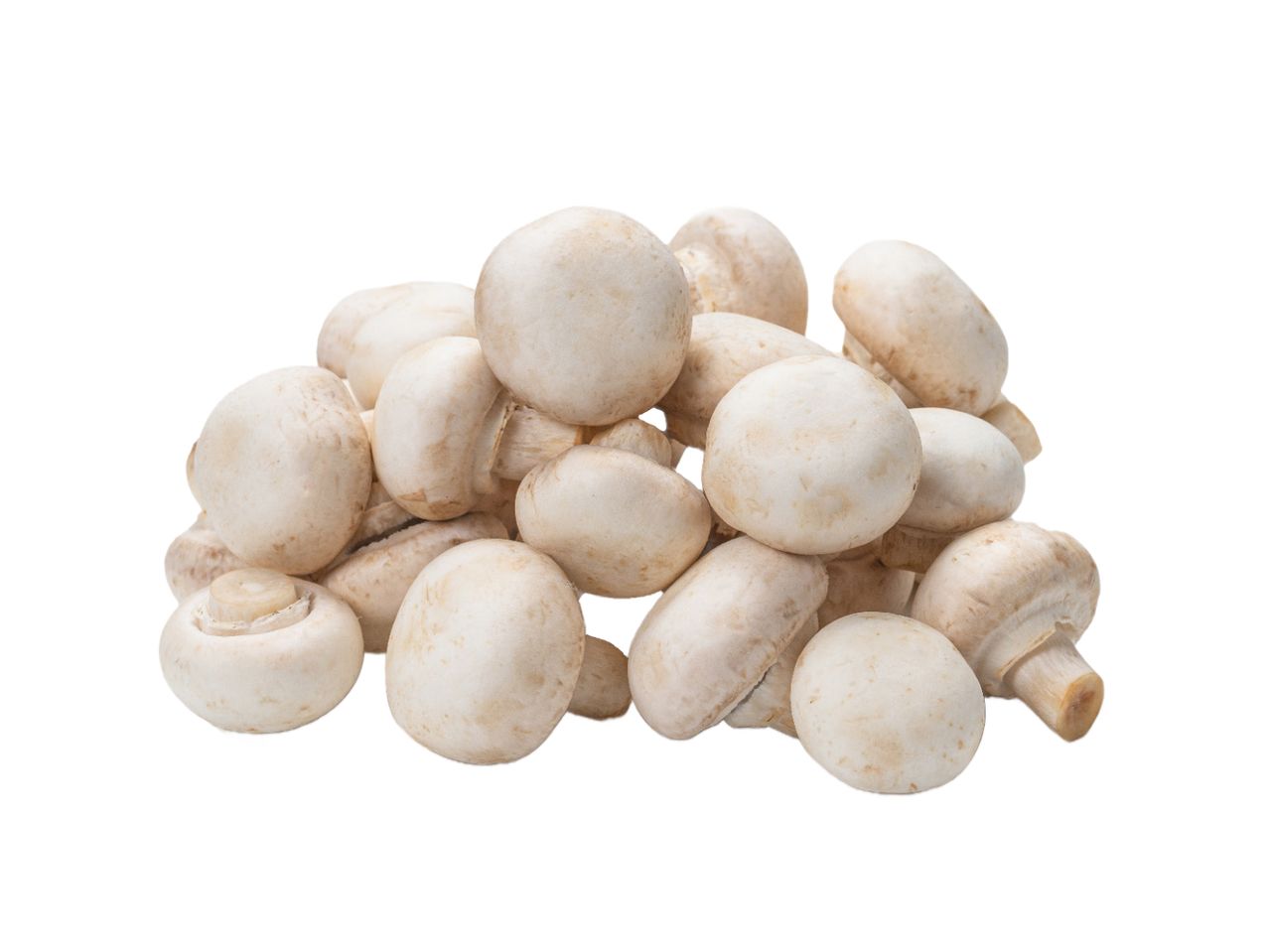 Hrpa svježih bijelih šampinjona na bijeloj pozadini.