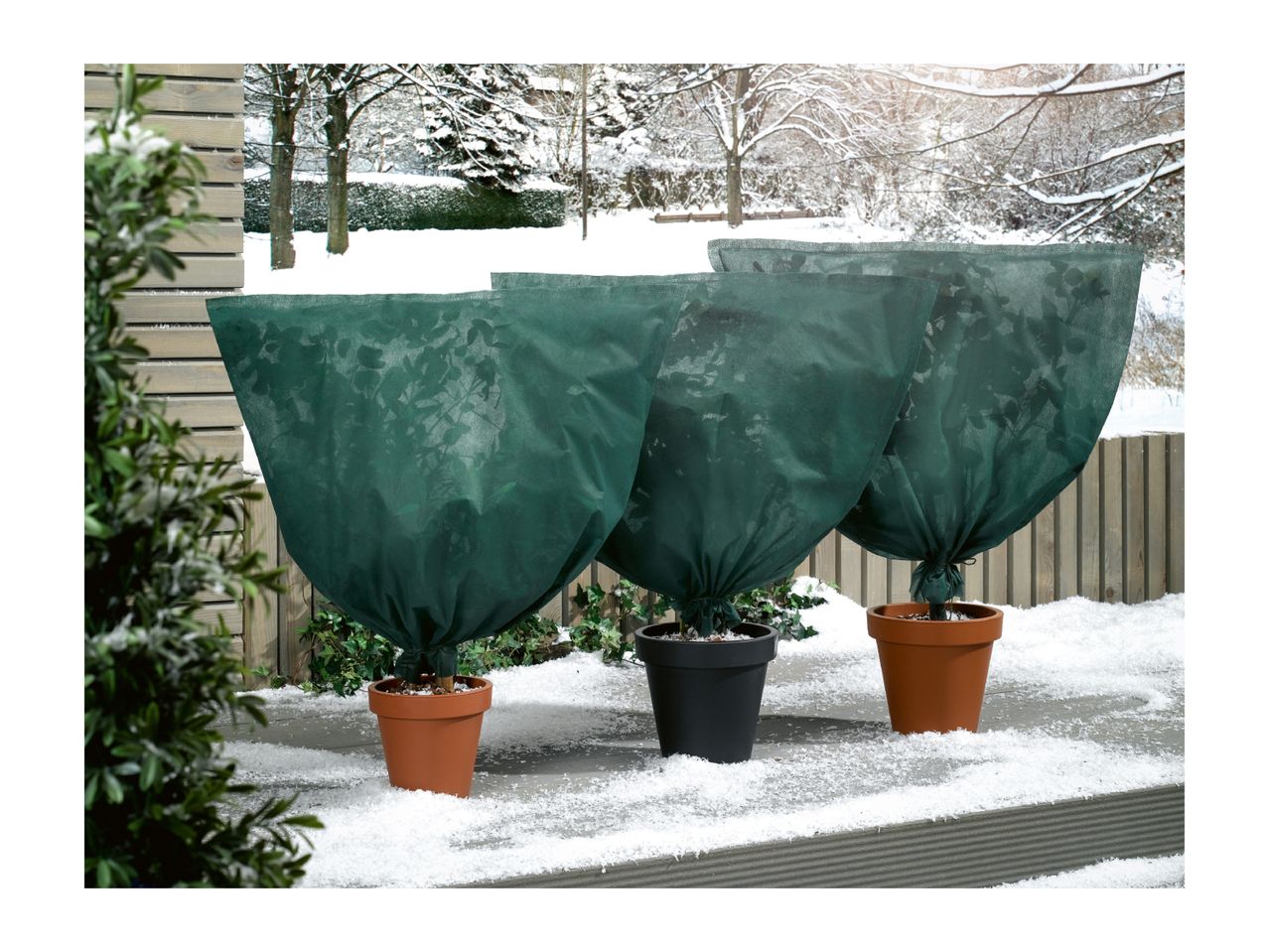 Three potted plants covered with green winter protection fleece on a snowy terrace