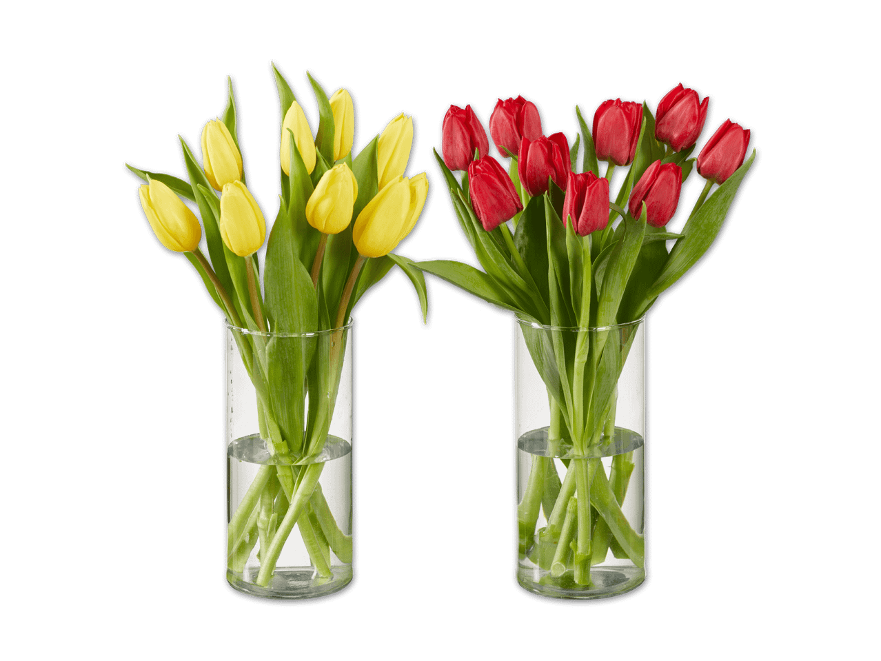 Zwei Vasen mit frischen Tulpen: eine mit gelben und eine mit roten Tulpen.