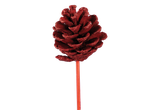 Red glittered pine cone on a stick, part of a Christmas dried pick mix.