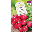 Radish 'Saxa 2' seeds for early sowing, with fresh radishes and green leaves.