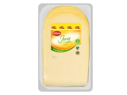 Gouda jong en jong belegen kaasplakken 48+
