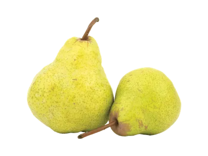 Kriaušės „Lucas“