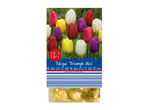 Holland Selection Tulipa 'Triumph Mix' bulbs: 12 bulbs.