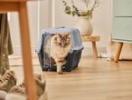 A fluffy cat emerges from a gray pet carrier on a light wood floor.