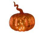 LIVARNO home Light-Up Decorative Pumpkin, orange, on black background