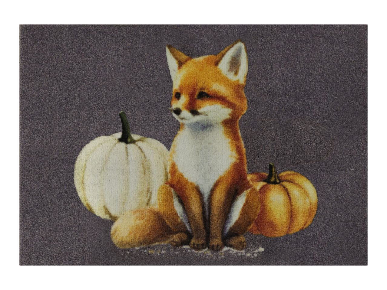 A cute fox sitting between a white and an orange pumpkin on a dark grey background.