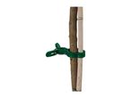 Green plant clip securing a tree sapling to a wooden stake.