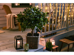 LIVARNO home 100 LED Solar Fairy Lights illuminating a cozy porch with a potted plant.