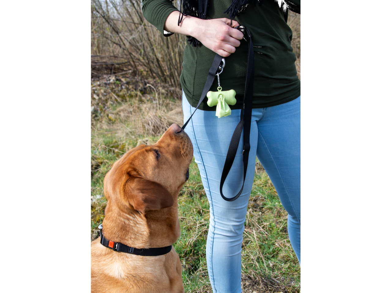 KARLIE Poop Bag Holder and leash held by a person, with a dog looking up.