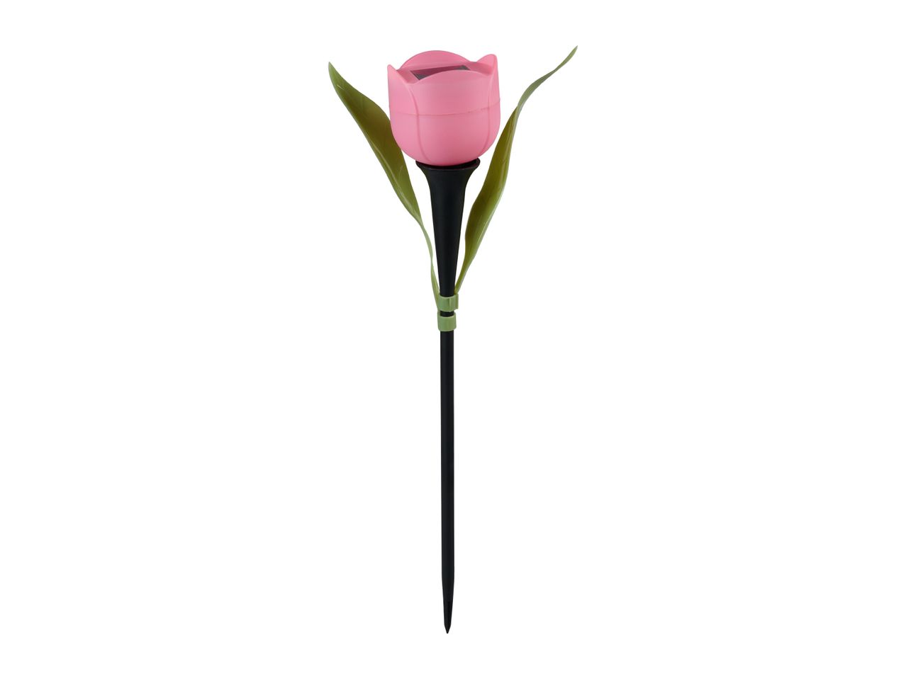 Pink tulip solar garden light with green leaves and a black stake