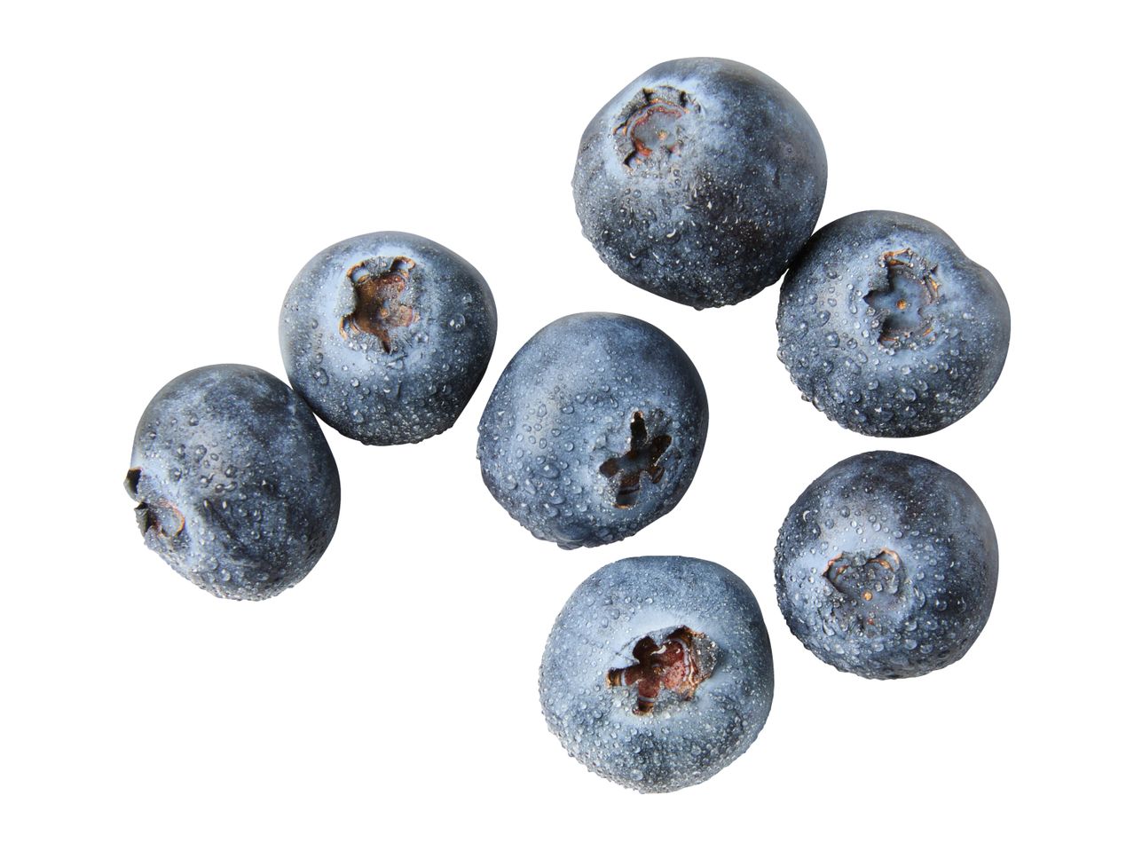 Seven fresh blueberries with water droplets on a white background.